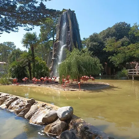 Mobile Siblu Les Charmettes 4 Les Mathes